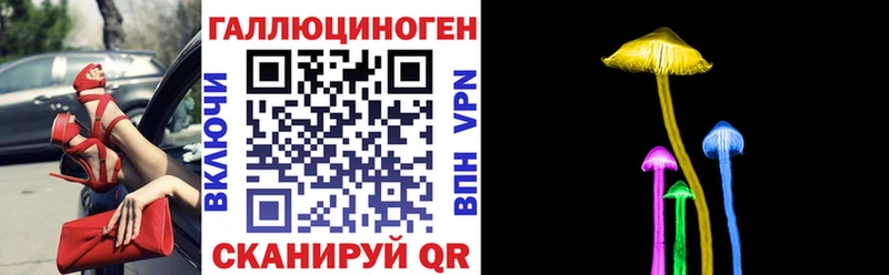 Псилоцибиновые грибы GOLDEN TEACHER  МЕГА   Зеленоградск 